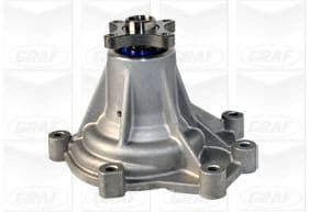 PA1055 Graf Помпа