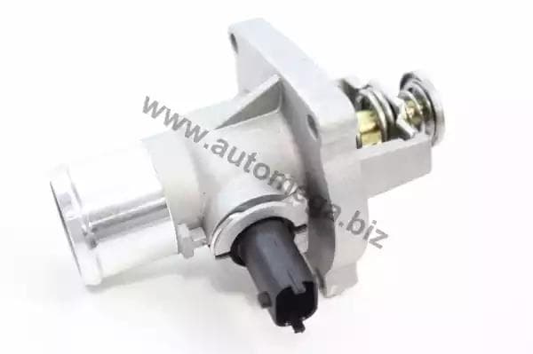 160089010 Automega Термостат