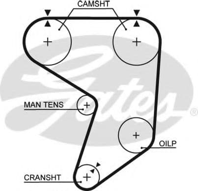 5195XS Gates Ремінь ГРМ