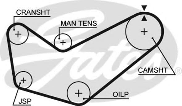 5218 Gates Ремень ГРМ
