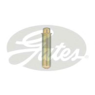 T43187 Gates Успокоитель ремня ГРМ для Renault Mascott