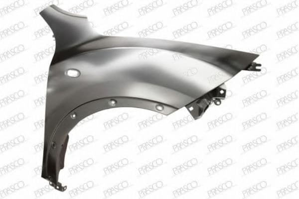 DS7003013 Prasco Крило переднє для Nissan Juke