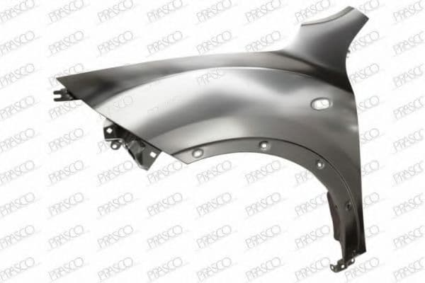DS7003014 Prasco Крило переднє для Nissan Juke