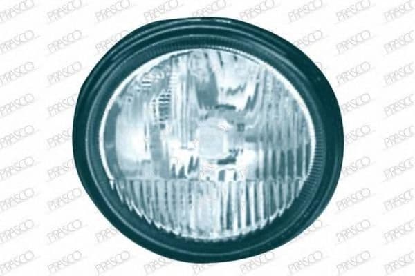 RN0274414 Prasco Передняя противотуманная фара