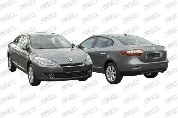 RN0908213 Prasco Ручка двери