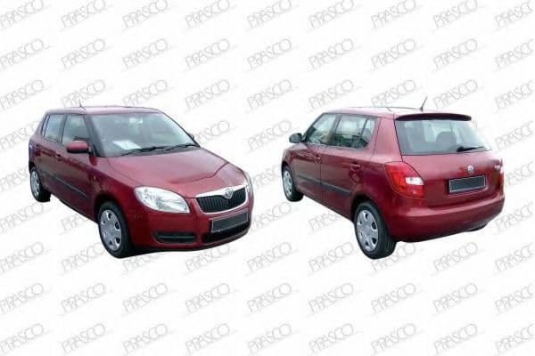 SK3247113 Prasco Зовнішнє дзеркало для Skoda Fabia