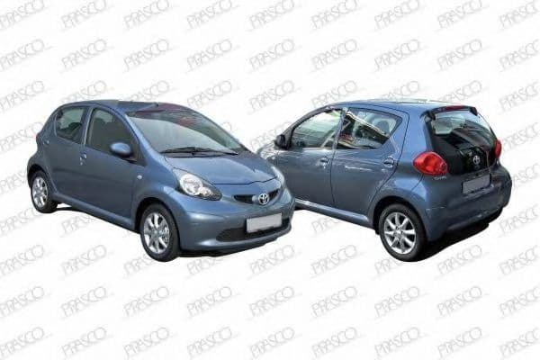 TY2018607 Prasco Ручка двери