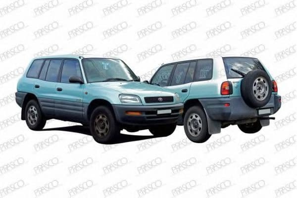 TY2818001 Prasco Ручка дверей