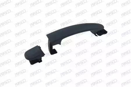 vg8078003 Prasco Ручка дверей