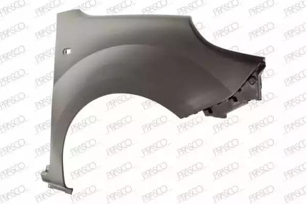 RN9213003 Prasco Крило переднє для Renault Kangoo
