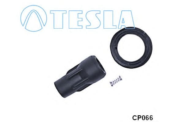 CP066 Tesla Вилка свічки розжарювання