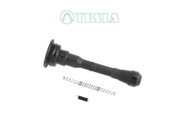 cp094 Tesla Вилка свічки розжарювання