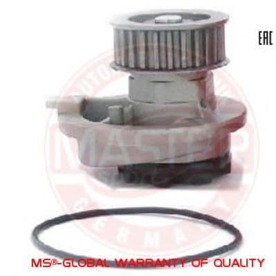 314-WP-PCS-MS Master-Sport Помпа