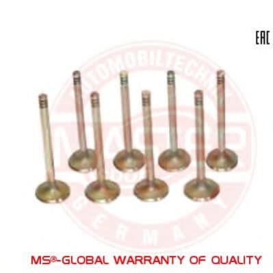 KAMAZ-IN-SET/8/-MS Master-Sport Впускний клапан