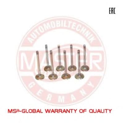 12EX-SET/8/-MS Master-Sport Выпускной клапан