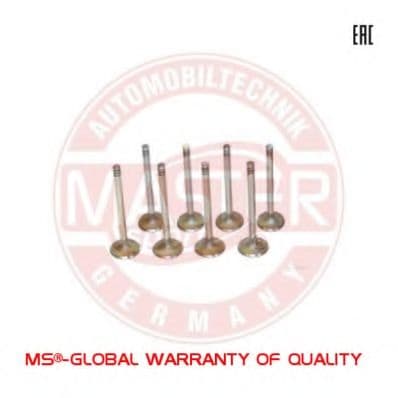 12IN-SET/8/-MS Master-Sport Впускной клапан