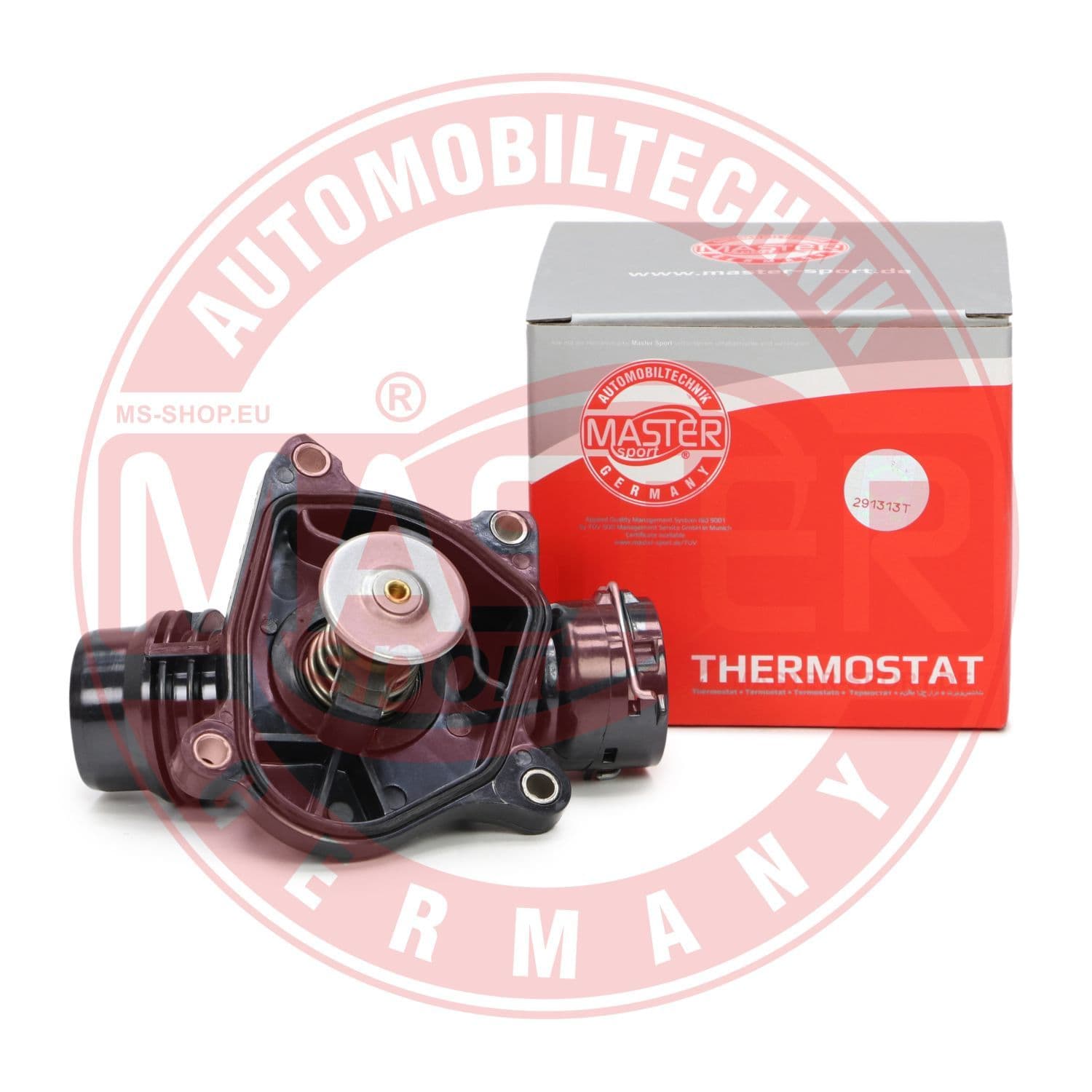 653687288 Master-Sport Термостат