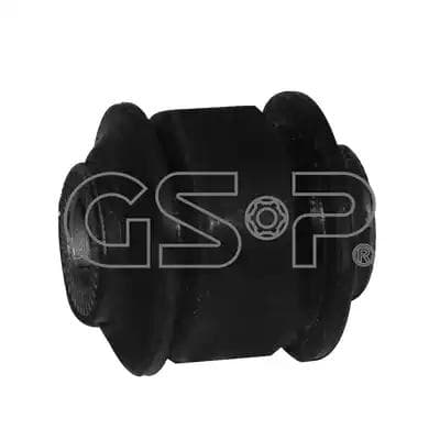 513541 GSP gsp