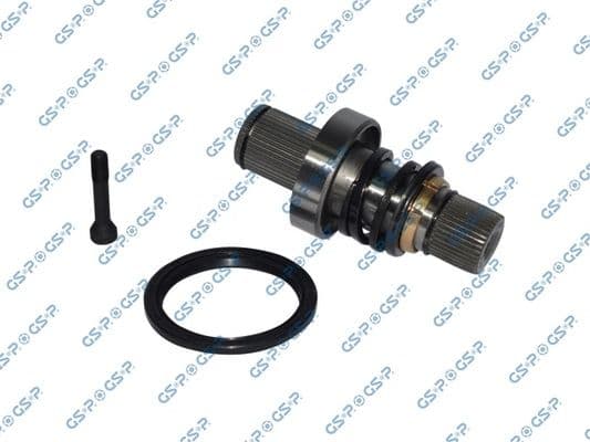 261214 GSP Піввісь