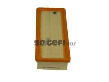 A202 Purflux Повітряний фільтр