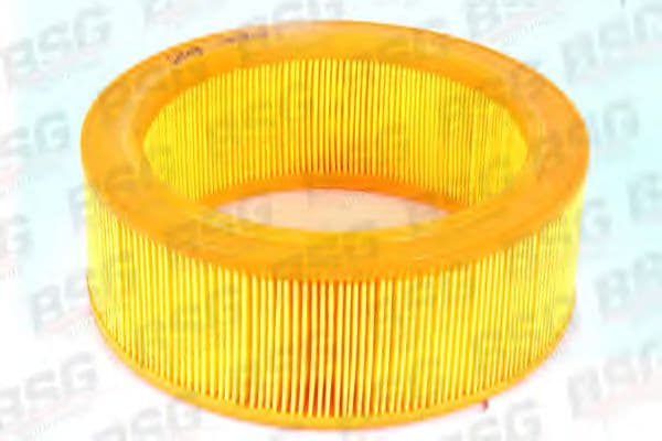 BSG 30-135-001 BSG Повітряний фільтр для Ford Transit