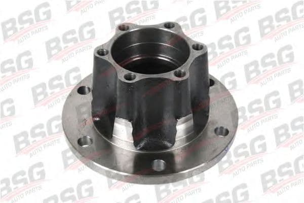 BSG 30-325-015 BSG Ступица колеса для Ford Transit
