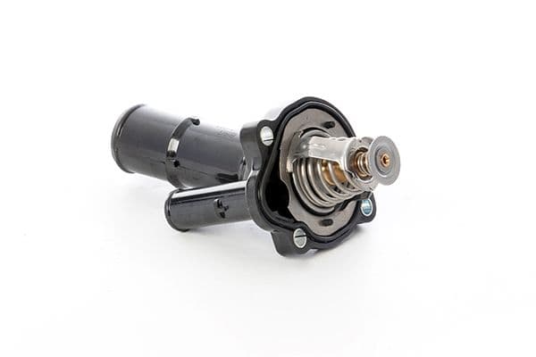 bsg30125023 BSG Термостат