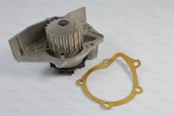 D1C020TT Thermotec Помпа