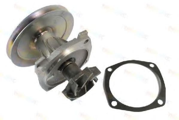 D1F050TT Thermotec Помпа