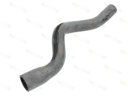 DWC061TT Thermotec Патрубок радіатора системи охолодження двигуна