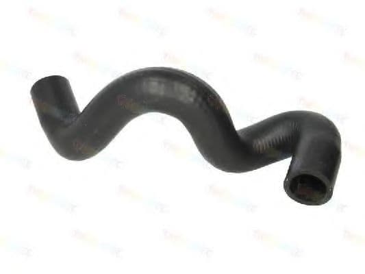 DWG013TT Thermotec Патрубок радиатора системы охлаждения двигателя для Ford Focus