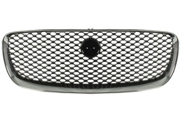 6502070599990p BLIC Решітка радіатора для Jaguar F-Pace