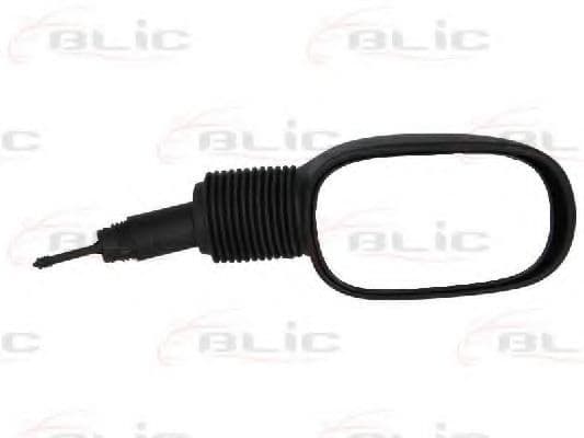 5402-04-1193382 BLIC Зовнішнє дзеркало для Ford Ka