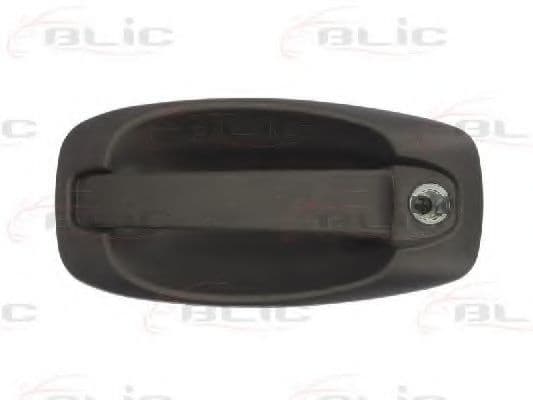 6010-07-043401P BLIC Ручка дверей