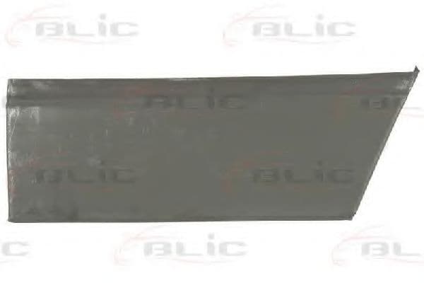 6015-00-3545122P BLIC Двері для Mercedes T1
