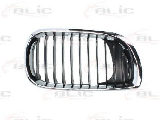 6502-07-0061992AP BLIC Решітка радіатора для BMW 3 Series