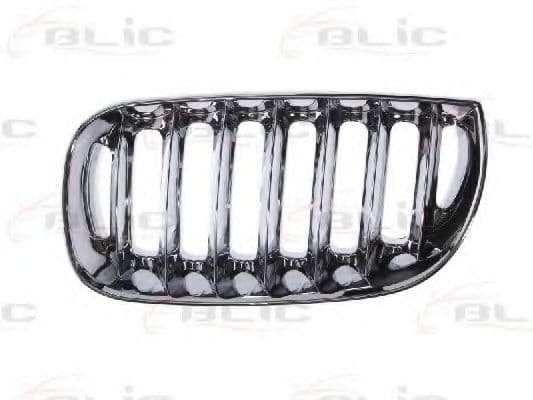 6502-07-0093993P BLIC Решітка радіатора для BMW X3
