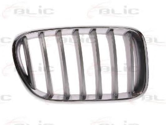 6502-07-0093998P BLIC Решетка радиатора