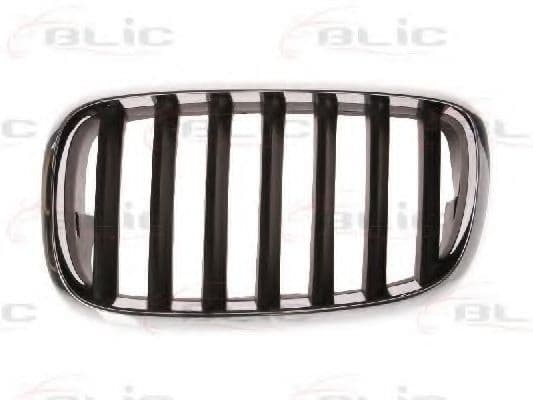 6502-07-0096991P BLIC Решетка радиатора