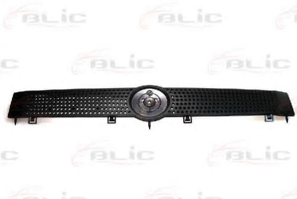 6502-07-2008990P BLIC Решітка радіатора