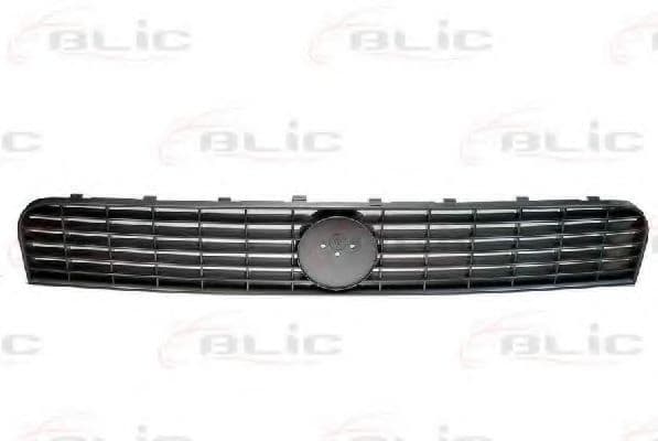 6502-07-2024990P BLIC blic