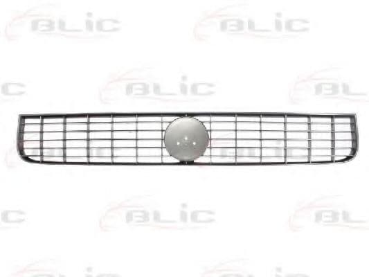 6502-07-2024994P BLIC blic