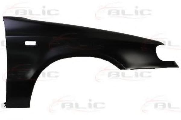 6504-04-7513314P BLIC Крило переднє