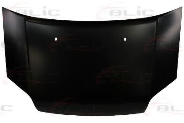 6803-00-2507282P BLIC Капот