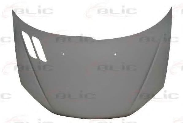 6803-00-5507280P BLIC Капот для Peugeot 206