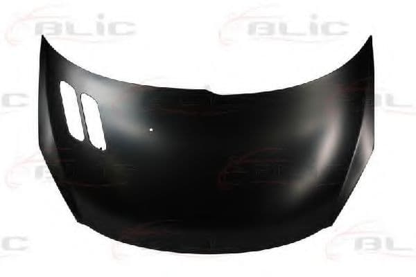 6803-00-5507281P BLIC Капот для Peugeot 206