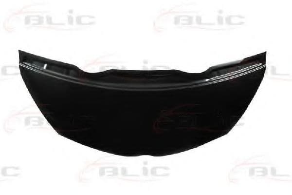 6803-00-8100280P BLIC Капот для Toyota IQ