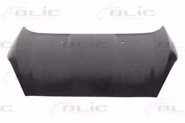 6803002565281P BLIC Капот для Ford Fiesta