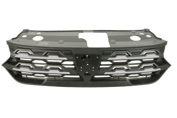 6502071307991p BLIC Решітка радіатора