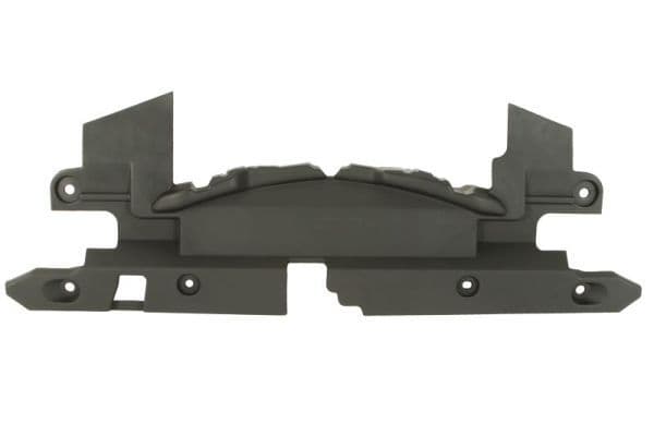 6502038186208p BLIC Передня панель кузова для Toyota RAV4